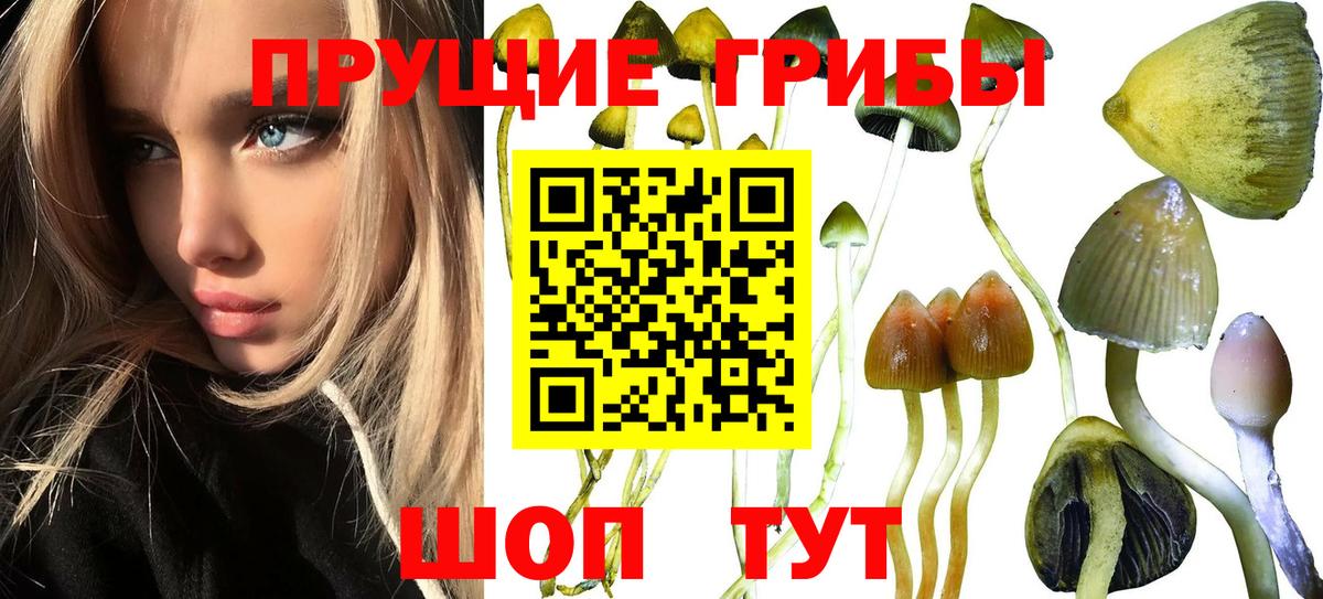 Галлюциногенные грибы прущие грибы  Вход с VPN  Валуйки  Псилоцибиновые грибы MAGIC MUSHROOMS 