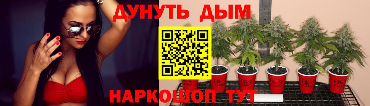 Валуйки  Канабис MAZAR  Конопля гибрид  Вход с VPN 